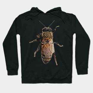 Worker Honey Bee 05 Hoodie